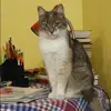 Отзыв от Альбина Семина